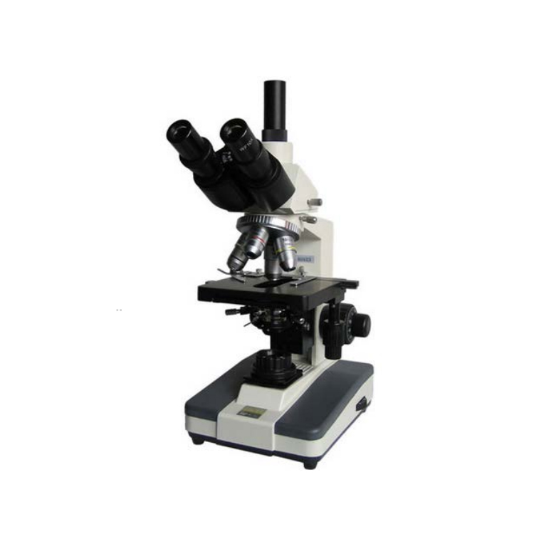 XSP-BM-8CA 生物显微镜 BM彼爱姆